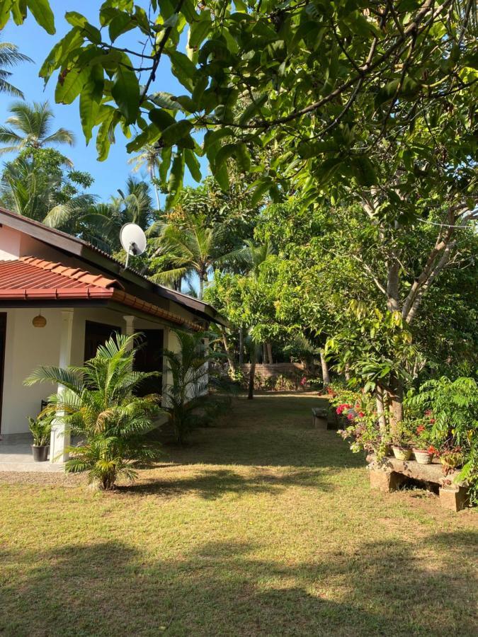 Mango Villa Hikkaduwa Zewnętrze zdjęcie